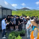 금소공동체 이미지