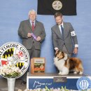 여주-0898 이미지