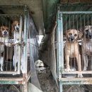 사양농장 이미지