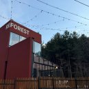 현충원 산책길 | 대전 유성 현충원 카페 레포레스트 후기! 대형 감성카페!