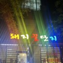 돼지꿀단지