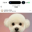 꾸꾸몽 이미지