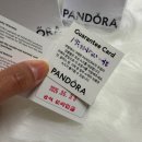 이터니티코리아 | [판도라 반지] 이터니티 서클링 / 오가니컬리 쉐입드 밴드 링 / PANDORA 반지 추천 / 판도라 할인...
