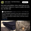 어두운 팬티 색이 변하는 이유 이미지