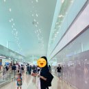 주식회사 퍼포먼스 | 1일차)] 3박 4일 자유여행 - 콘래드 오사카, 오사사 마츠다부장 추천의 야끼니꾸 맛집 와키치코 쇼텐 후기