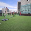 도그마루 강아지고양이 평택점 이미지