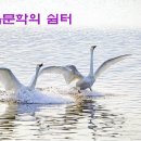 12월 23일 한울문학 신인문학상 및 대상 시상식 이미지