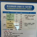 동강사진박물관 본관 | 영월곤충박물관 체험 후기, 놓치긴 아쉬운 여행 코스!