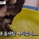 더콘텐츠팩토리