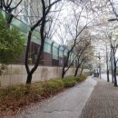 수지 견인차량 보관소 | 경기도 수지구 나홀로 대형 평수 아파트 꽃메마을 극동 스타클래스 임장 후기