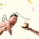 포엠테이블 | 아기 50일 셀프 촬영 포엠테이블 소품 대여 셀프 촬영 후기