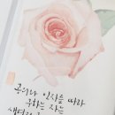 예랑캘리