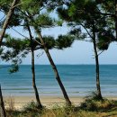 바닷가에서 이미지