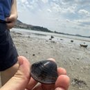 창원 안골포굴강 이미지