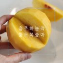 제주농장 | 충주 하늘작복숭아 대과 2kg 제철 여름과일 후숙 후 맛있는 황도복숭아