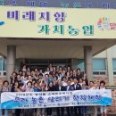 이팝길대추농원