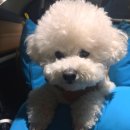 스윗테일 이미지