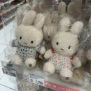 멤버쉽풀 | 26주 태교여행 오키나와 아카짱혼포 트립트랩 풀세트 리베르 유모차 구매후기