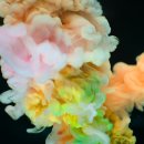 플러스컴퓨터학원 이미지