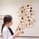 김한의원 | 다이어트한의원내돈내산후기? 쓸모 없습니다