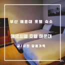 메르씨엘 호텔 | 부산 해운대 호텔 메르씨엘호텔 가족 숙소로 추천