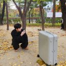 종로-신영-종로-영-165 | 뮤지컬도 보고 영화도 보는 나는야 문화인✨️💓 <11월 일상>