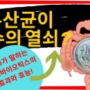 장수열쇠