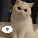 빵빵하게(20240507-20240508)