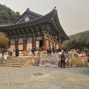 불탄 이미지