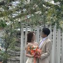 [W] 토탈 강남 압구정 / 지니어스 스튜디오 - 옥상 야외 정원 배경 촬영 후기
