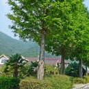 월포마을 이미지