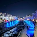 금오천-2(옥외1) | 구미 금리단길 옆 금오천 벚꽃야경 화려한 경관조명 (2024년 04월)