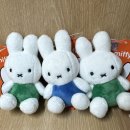 와우 뽑기방 이미지