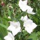 해오름자연요양병원 이미지