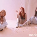 구구단 세미나 카카오 검색결과