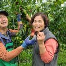 이창재농장 이미지