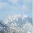 대나무골농장 이미지