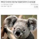 877008 이미지