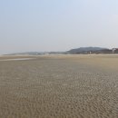 해미-비상-2 이미지