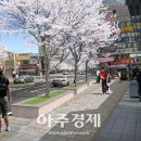 검배로 이미지