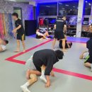 정관 주짓수로 아이가 건강하고 새롭게 운동 배우기 좋았던 팀 몬스터 종합격투기 후기