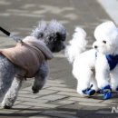 부경약국 이미지