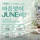 아트펫 | 퇴사 후 찾은 새로운 도전! 마포애견미용학원에서 연맹 3급·2급 취득 중인 후기