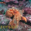 고향향토장터