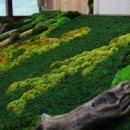 남한강초등학교 병설유치원 이미지