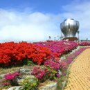 구봉산전망대 이미지