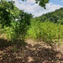 지내원당로 이미지