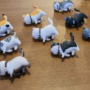 추냔이네 이미지