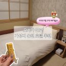 일본 오사카 근교 가성비 온천 호텔 추천! 온야도 노노 나라 내돈내산 후기 (ft. 조식, 대욕장)