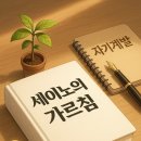 세이노의 가르침, 100만 독자가 선택한 이유는? 경제독립 필독서 리뷰 〈경제 &amp; 재테크에 도움되는 필수...